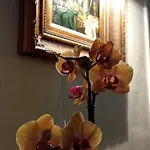 Hotel Stella *