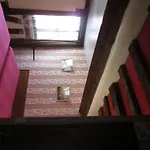 Stella *